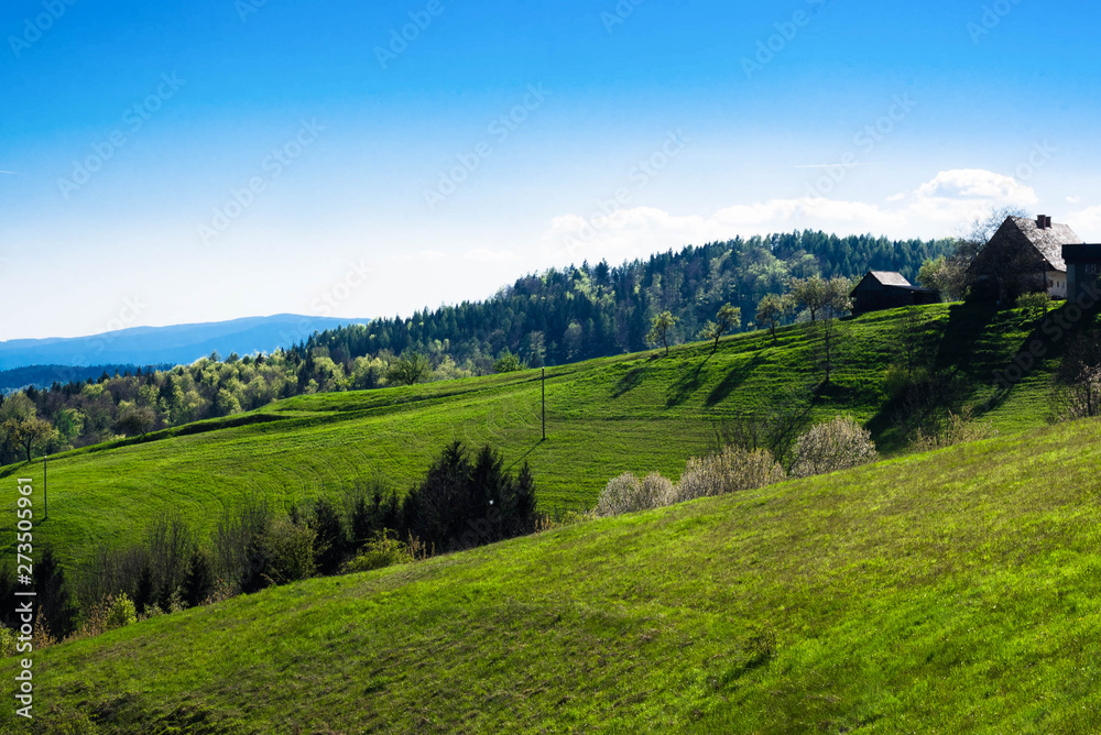 Fototapeta premium Mountain