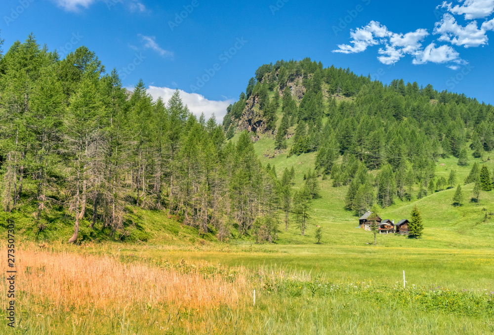 Green alpine valley on a summer day