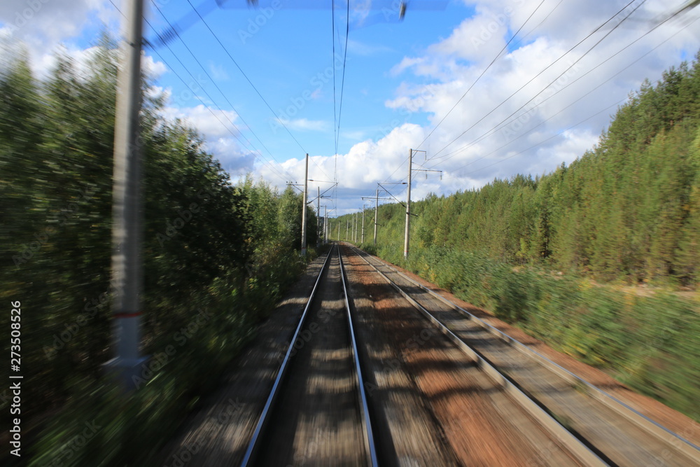 Fototapeta premium Природа