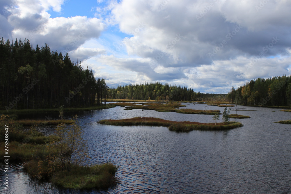 Naklejka premium Природа