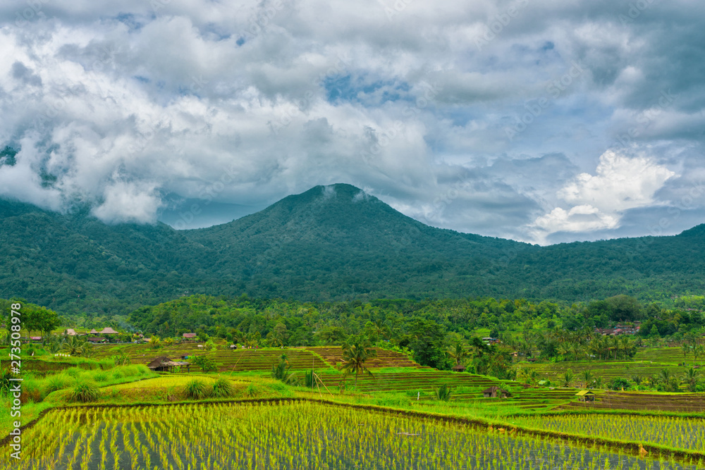 Rice terraces in mountains at cloudy sky, Bali Indonesia