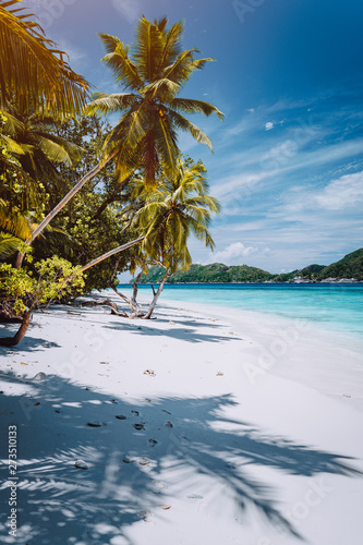 Fototapeta Naklejka Na Ścianę i Meble -  Vacation in faraway place. Paradise tropical beach with white sand and palm trees. Long distance travel tourism getaway concept