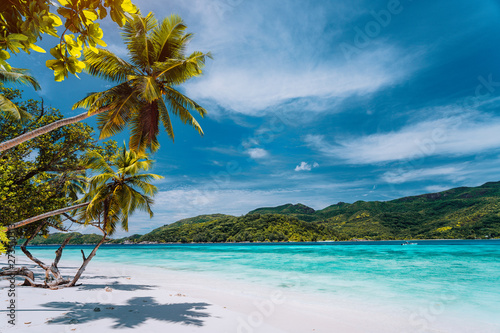 Fototapeta Naklejka Na Ścianę i Meble -  Luxury vacation on tropical island. Paradise beach with white sand and palm trees. Long distance travel tourism getaway concept