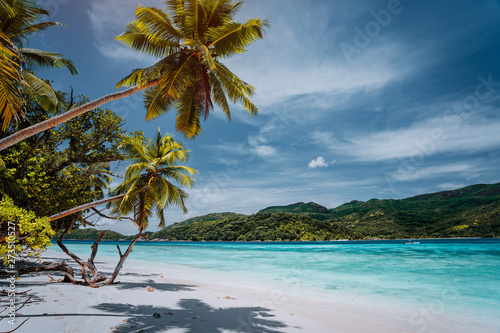 Luxury vacation on tropical island. Paradise beach with white sand and palm trees. Long distance travel tourism getaway concept © Igor Tichonow