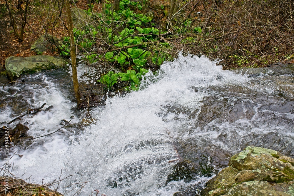 Fototapeta premium Waterfall