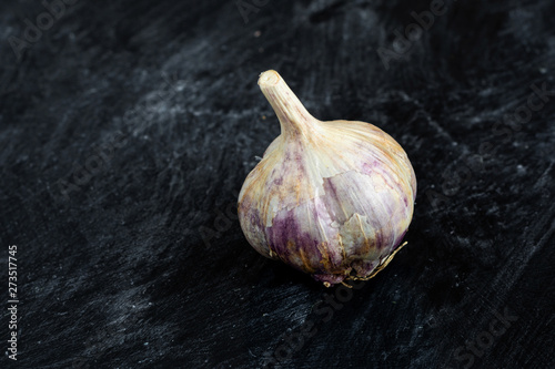 One garlic head on dark background