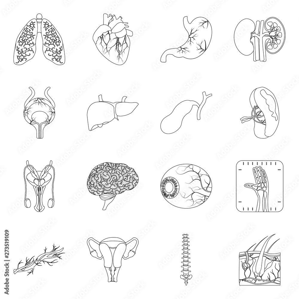 Vector design of body and human symbol. Collection of body and medical stock vector illustration.