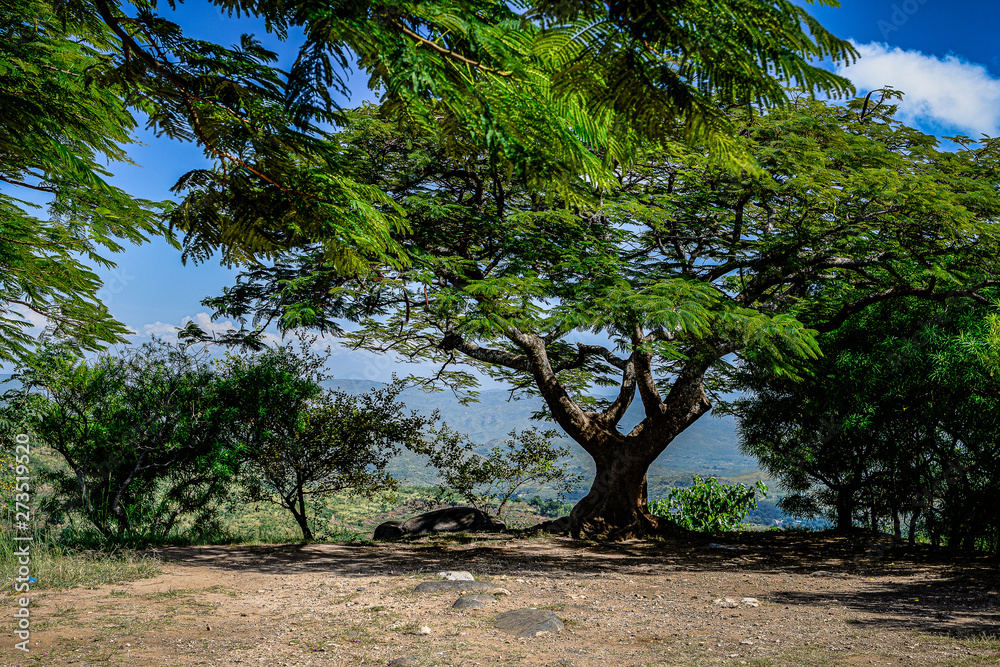 Fototapeta premium Auf Durchreise in Malawi