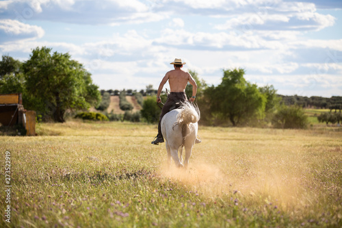 Back view of shirtless young male riding white horse in grassy meadow on cloudy day in countryside