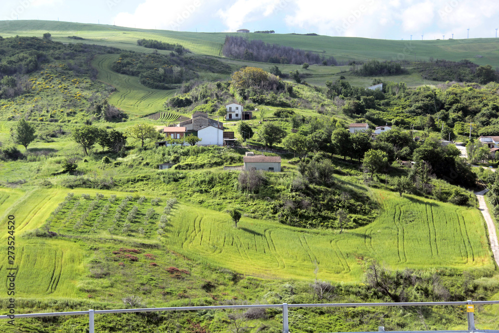 paysage agricole