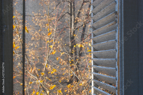 autumn colors through the old curtain. view of the golden colors of autumn through the old curtain on the vintage window