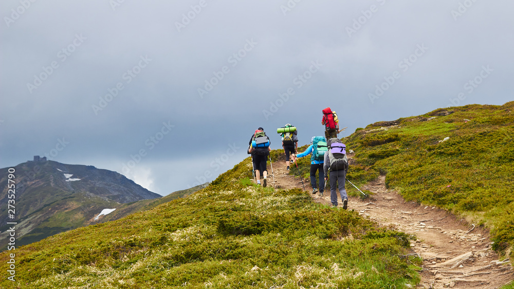 The group of hikers walking in mountains