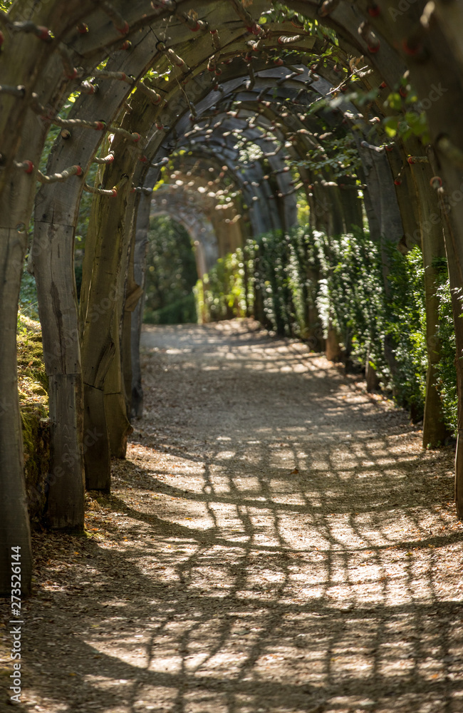 Obraz premium Plant Tunnel in the gardens of the Jardins de Marqueyssac in the Dordogne region of France