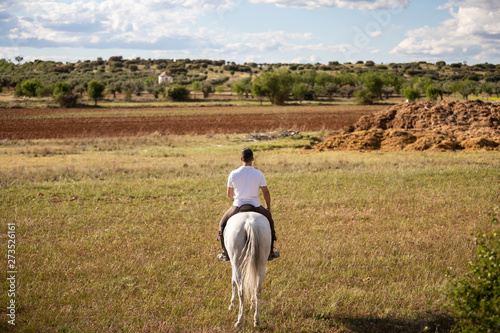 Back view style video game of young man riding a horse in the field © pablobenii