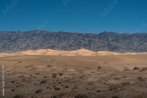 gobi desert , Mongolia