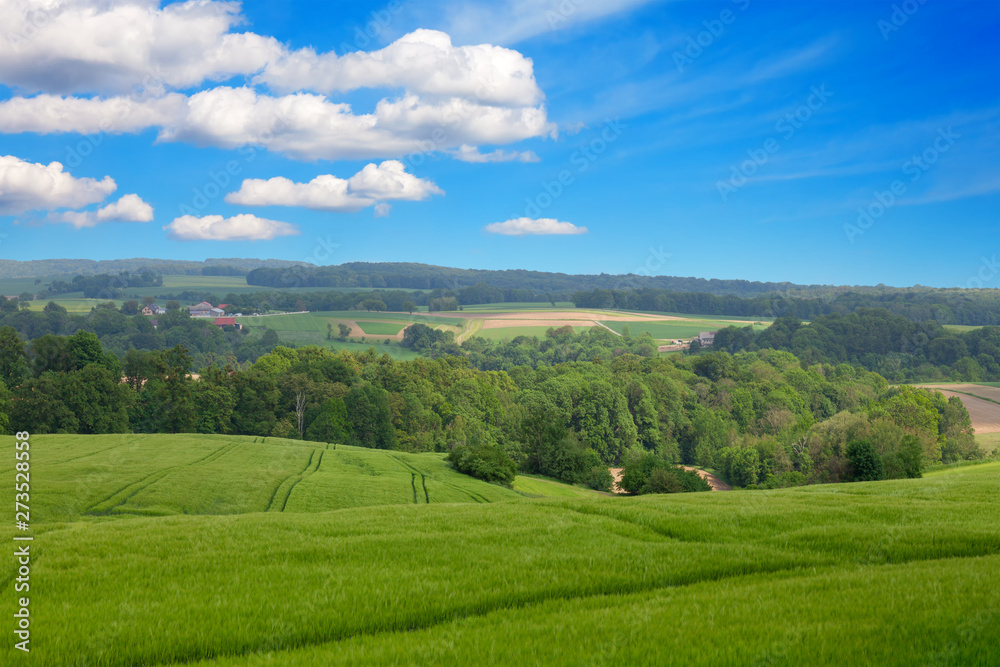 Hills with field and trees and blue sky