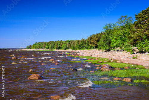 Coast of the Gulf of Finland. The picturesque coastline of the Baltic sea near the town of Zelenogorsk, Saint-Petersburg, Russia. photo