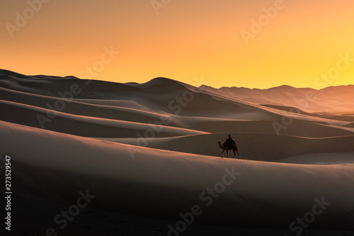 Gobi desert , Mongolia © peerasit