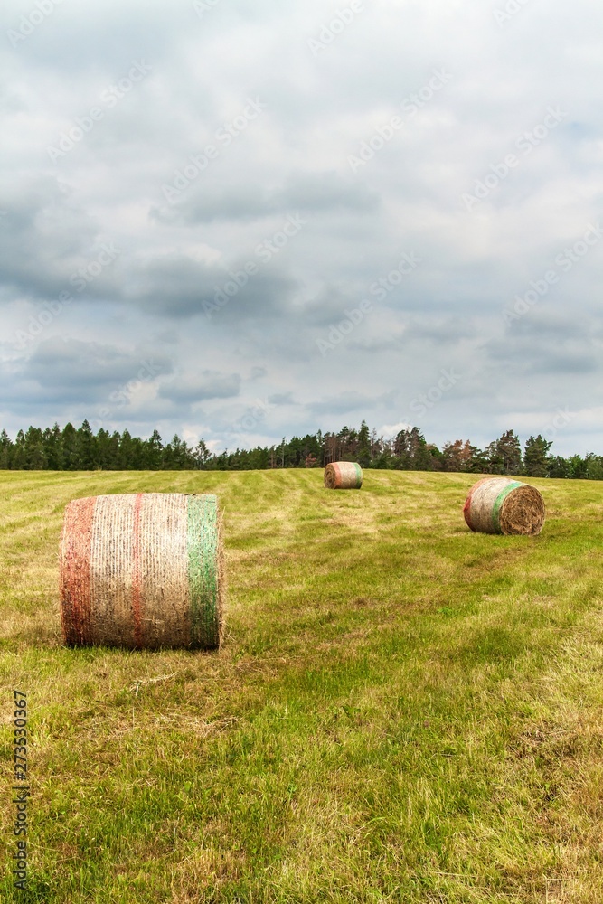 Dry straw bales on mown meadow. Summer meadow in the Czech Republic. Working on an agricultural farm.