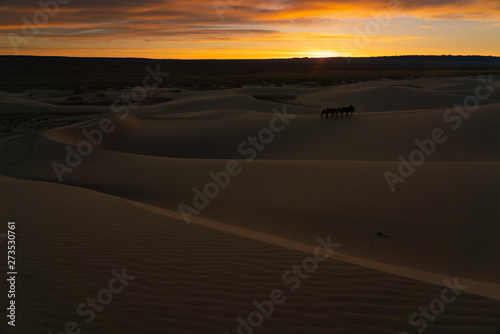 Gobi desert   Mongolia 