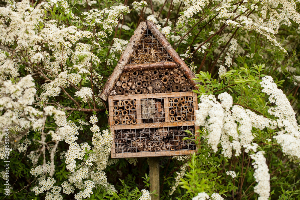 Insect house - hotel in a summer garden Insect house - hotel in a summer garden