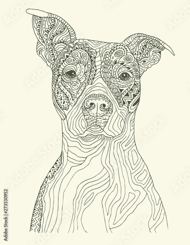 Line coloring mandala animal botanical dog