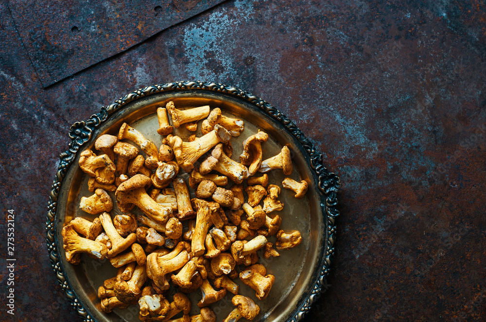 Raw forest chanterelle mushrooms in a plate top view space for text 