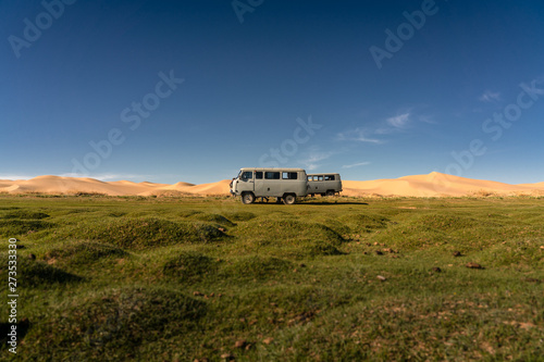 Gobi desert , Mongolia 