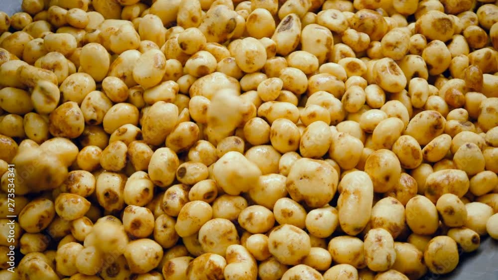 A pile of cleaned potatoes with new ones falling into it A pile of cleaned potatoes with new ones falling into it