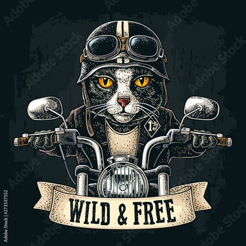 Cat driving a motorcycle rides. Vector vintage engraving