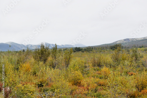 Autumn tundra on the background of mountains in Yakutia.