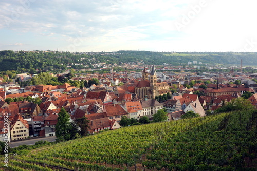 Blick auf Esslingen auf dem Weg zur Burg