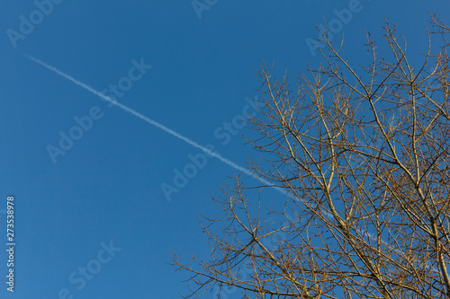 Cielo azul