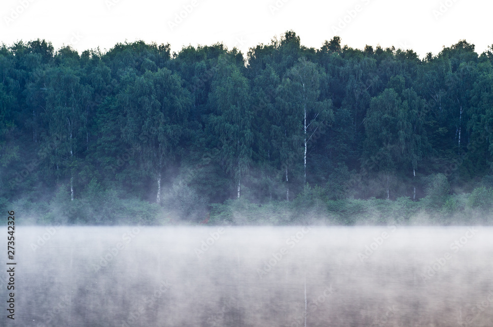 Birch forest on the shore of the lake. Morning. Fog. Birch forest on the shore of the lake. Morning. Fog.