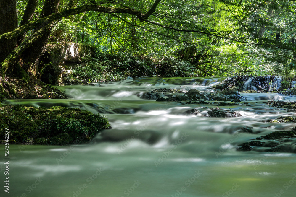 Bach (Dhünn) in einem Wald