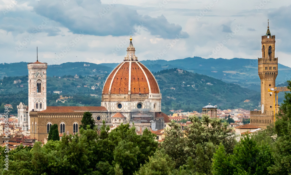 A view of the city of Florence, Italy, from a nearby hillside, including the iconic landmarks of the Florence Cathedral (left), the Duomo (center) and Arnolfo's Tower of the Palazzo Vecchio (right).
