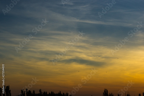 Landscape with dramatic light - beautiful golden sunset with saturated sky and clouds. © Wingedbull