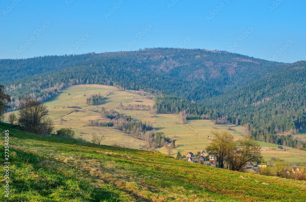 Beautiful spring mountain landscape. Green meadows and trees on the hills.
