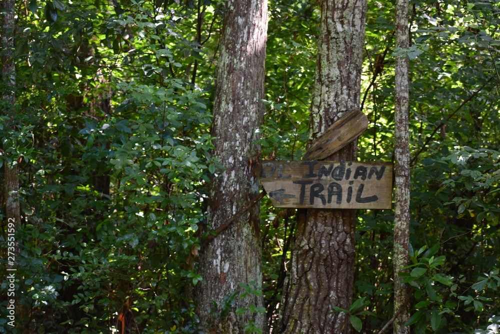 Old hand written Indian Trail sign posted in a southern swamp. Old hand written Indian Trail sign posted in a southern swamp.