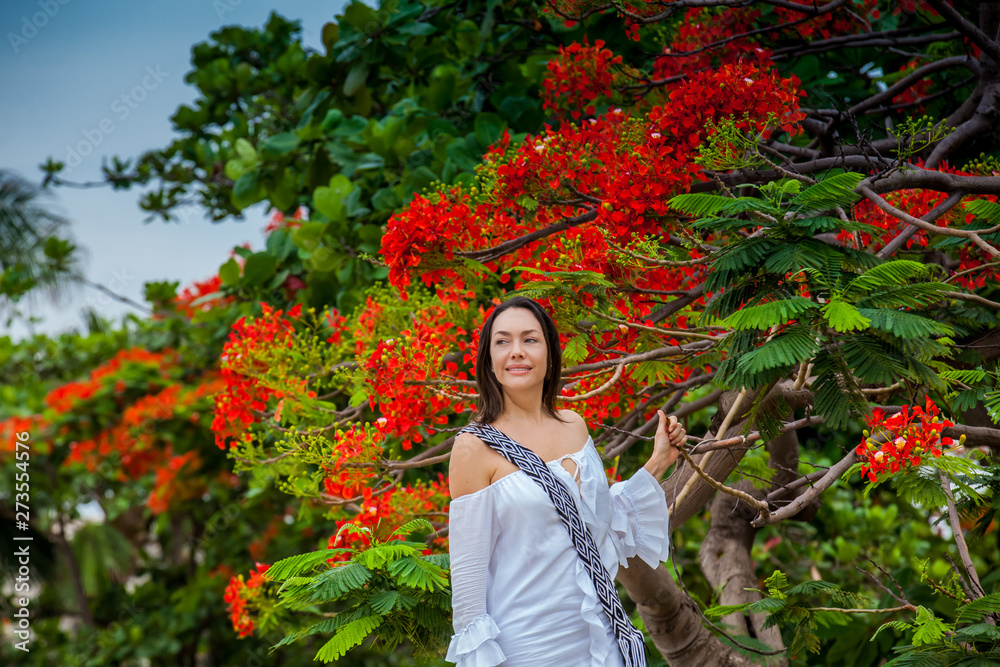 Woman on white dress next to a beautiful flowered tree at the walls surrounding the colonial city of Cartagena de Indias Woman on white dress next to a beautiful flowered tree at the walls surrounding the colonial city of Cartagena de Indias