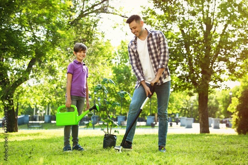 Dad and son planting tree together in park on sunny day © New Africa