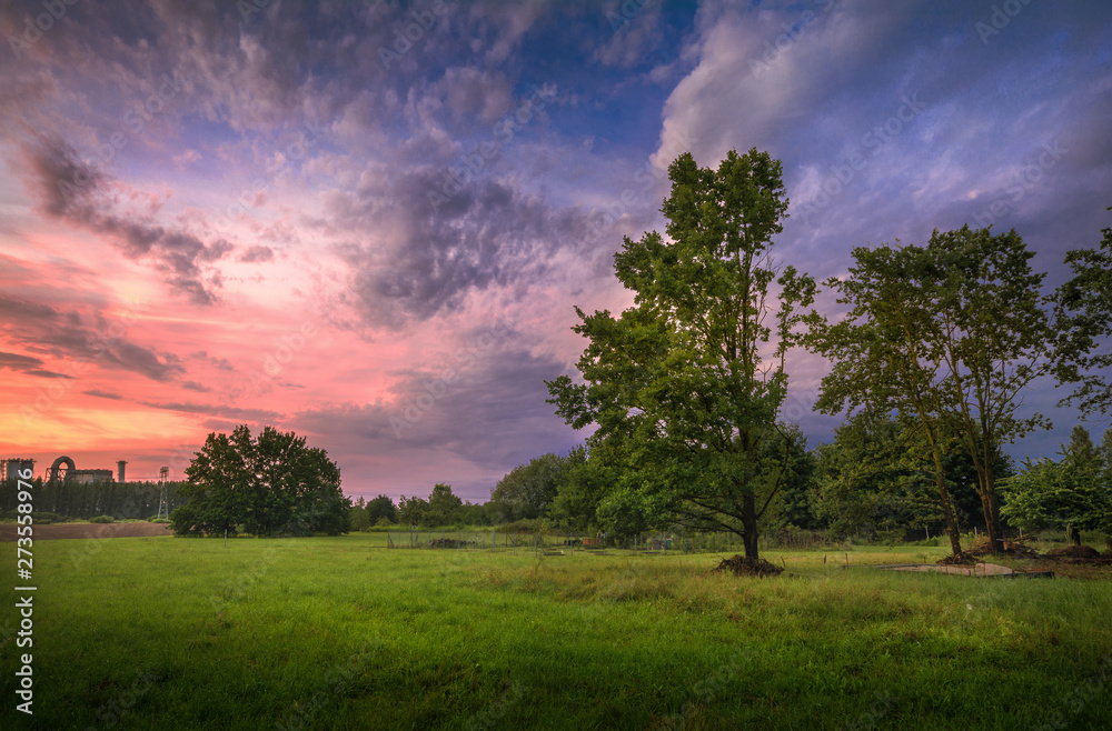 Obraz premium Sunset