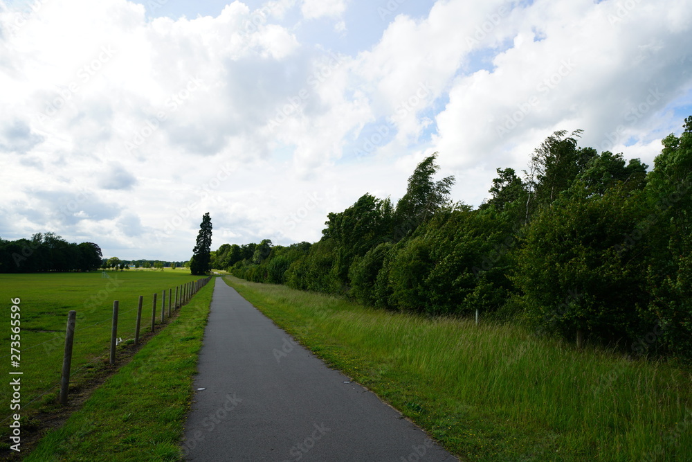 Obraz premium green landscape with blue sky and clouds, Cambridge, 2019