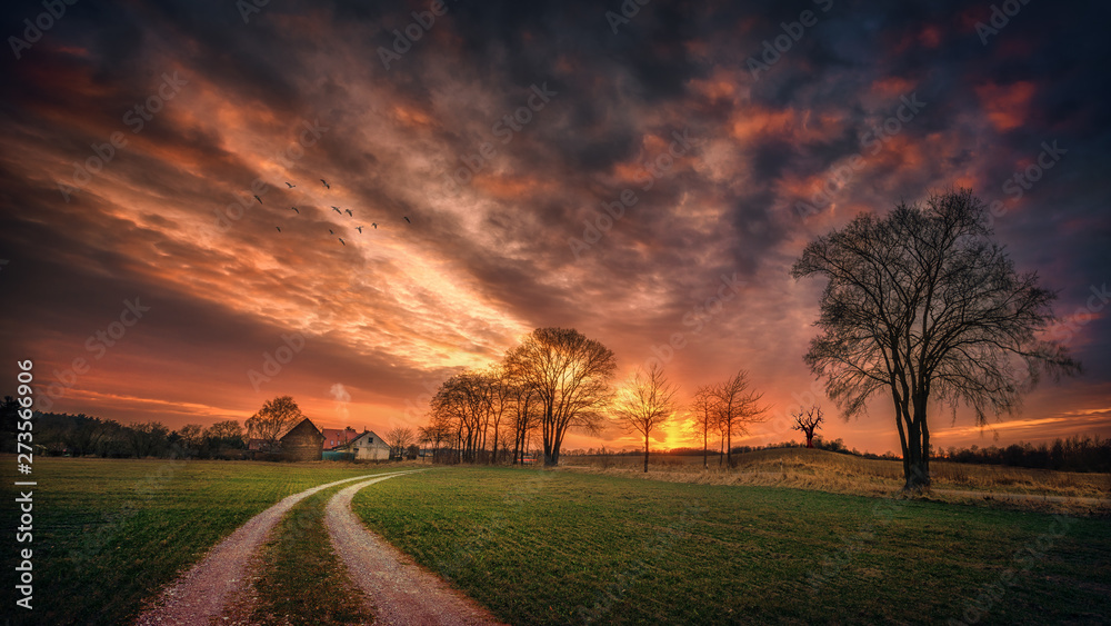 Obraz premium Sunset