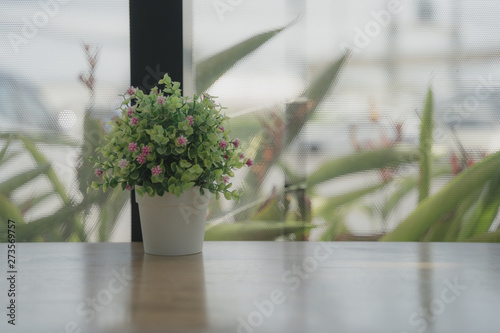 Flower pots are used to decorate the counter on the windows that are glass.