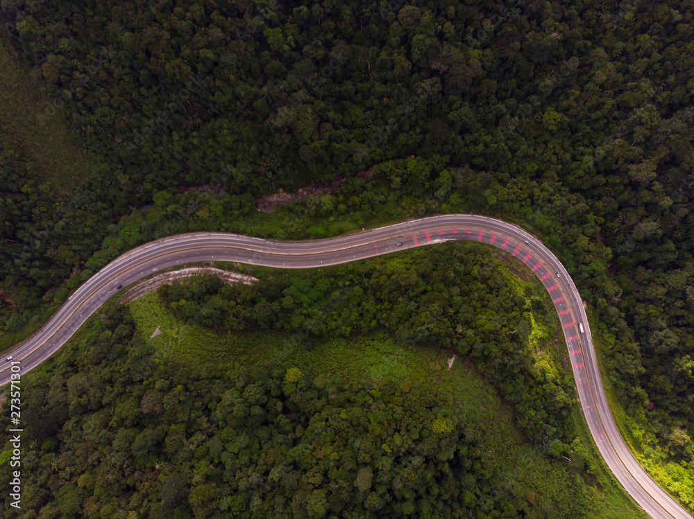 road and forest aerial view road and forest aerial view