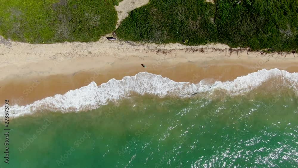 Aerial view of tropical white sand beach and turquoise clear sea water with small waves and palm trees forest. Praia do Forte, Bahia, Brazil. Travel tropical concept Aerial view of tropical white sand beach and turquoise clear sea water with small waves and palm trees forest. Praia do Forte, Bahia, Brazil. Travel tropical concept