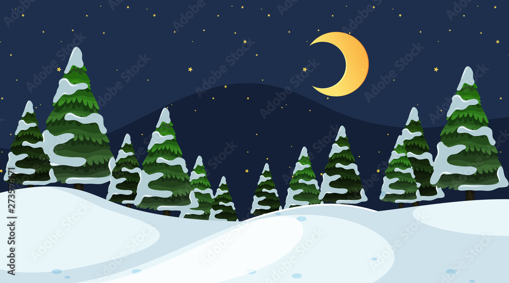 A simple winter scene at night
