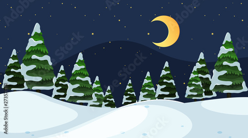 A simple winter scene at night