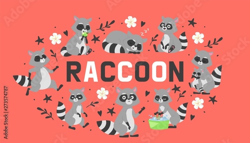 Raccoon in different positions doing various activities banner vector illustration. Cartoon female character washing clothes in bowl other sleeping, walking, sitting, holding child.